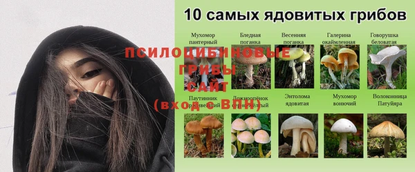 spice Верея
