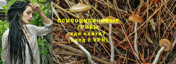 spice Верея