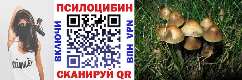 Галлюциногенные грибы GOLDEN TEACHER  Воскресенск 