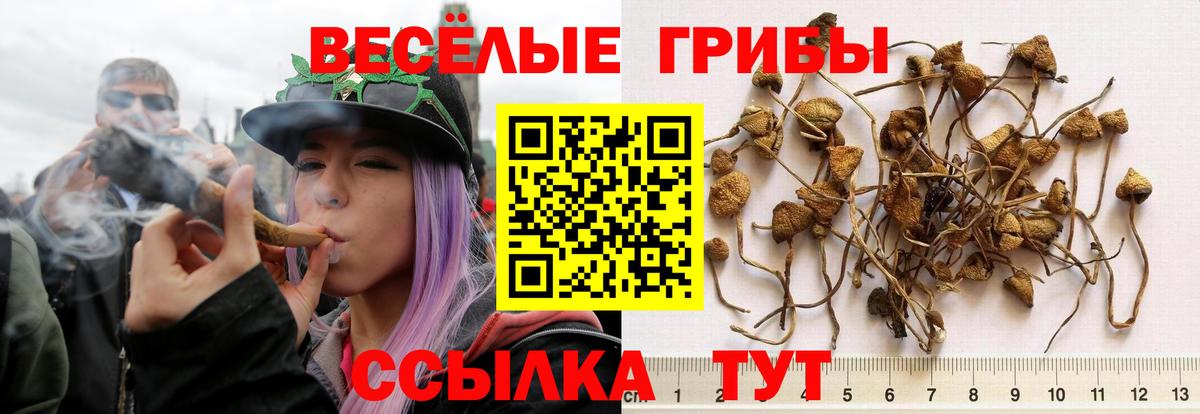 Галлюциногенные грибы Cubensis  Вход с VPN  Галлюциногенные грибы Psilocybine cubensis  Воскресенск 
